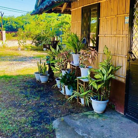 Casa De Flores Alaminos Ngoại thất bức ảnh
