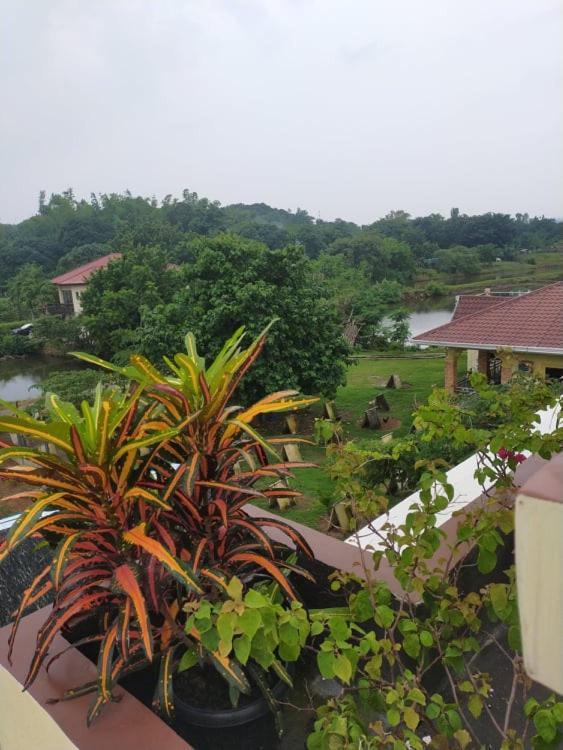 Casa De Flores Alaminos Ngoại thất bức ảnh