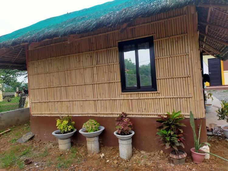 Casa De Flores Alaminos Ngoại thất bức ảnh